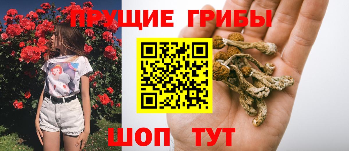 Псилоцибиновые грибы GOLDEN TEACHER Боровичи