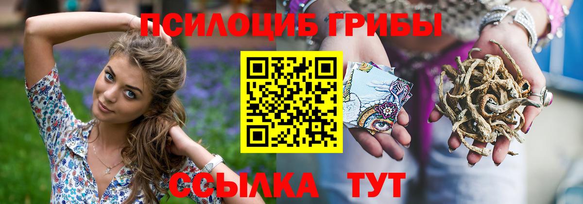 Боровичи  Псилоцибиновые грибы ЛСД  Псилоцибиновые грибы Psilocybe  Вход с VPN 