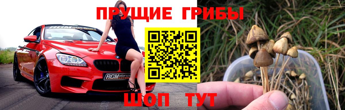 Гашиш Боровичи